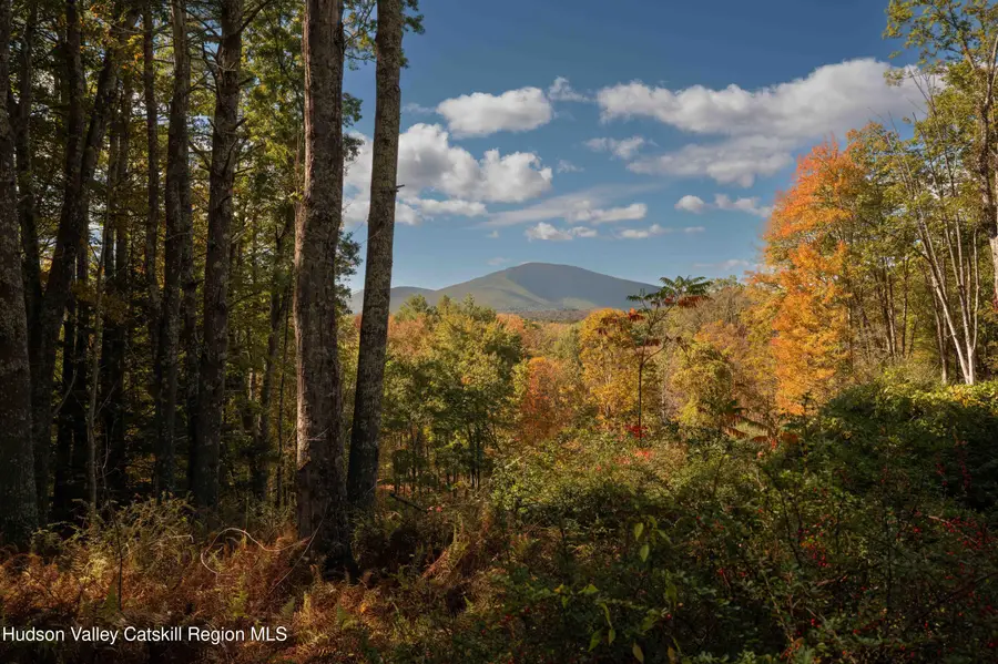 00 Beaverkill Road, Kingston, NY 12401 - #2