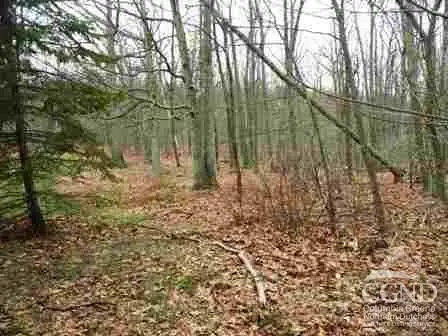 622 Bean River Road, Pine Plains, NY 12567 - #3