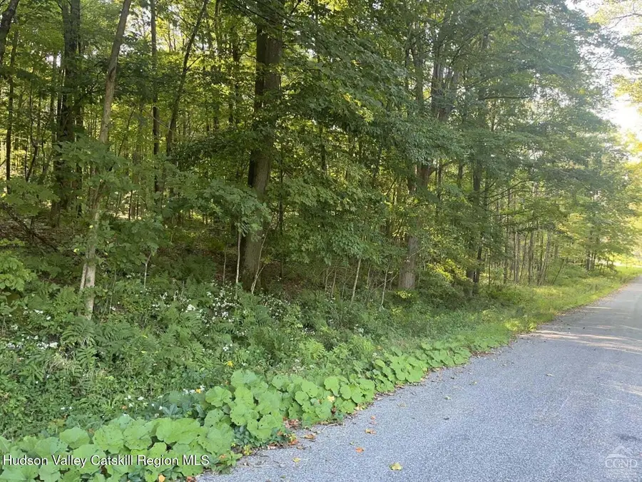 0 Churchill Road, New Lebanon, NY 12125 - #2