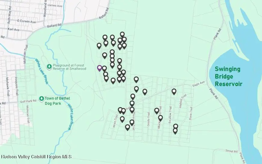 Tbd Eagle Avenue, Mongaup Valley, NY 12762 - #2