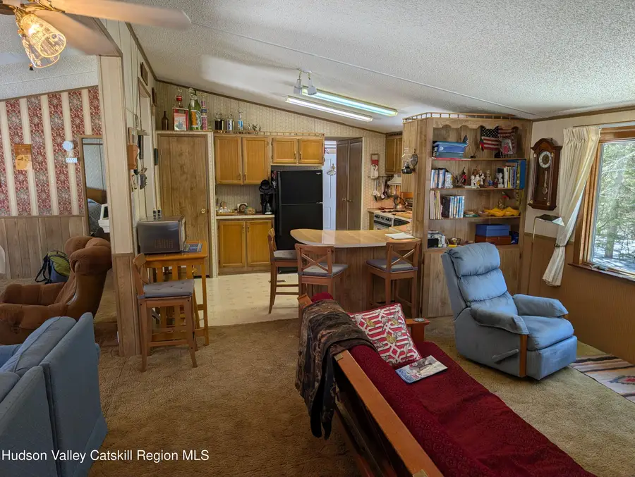 61 County Road 25, Haines Falls, NY 12436 - #3