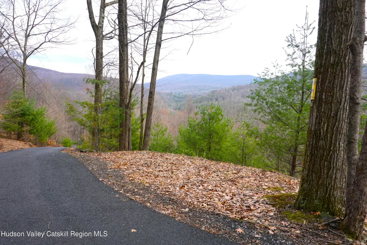 20 Lion's Way, Shady, NY 12409 - #1