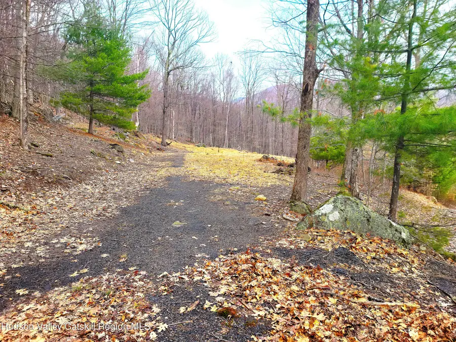 20 Lion's Way, Shady, NY 12409 - #3