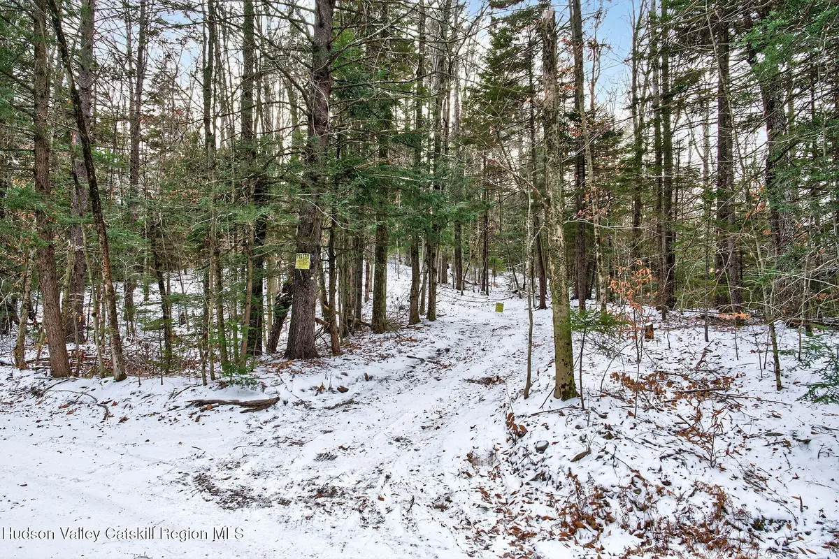 Tbd Roaring Kill Road, Elka Park, NY 12427 - #1
