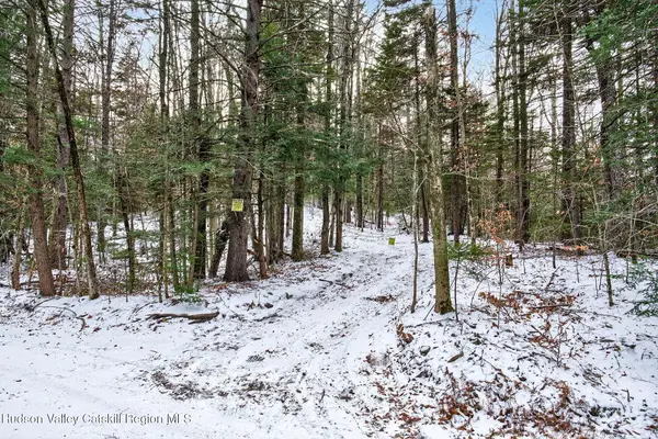 Tbd Roaring Kill Road, Elka Park, NY 12427