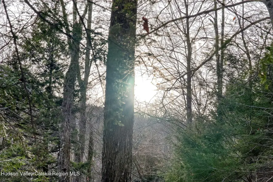 Tbd Roaring Kill Road, Elka Park, NY 12427 - #3