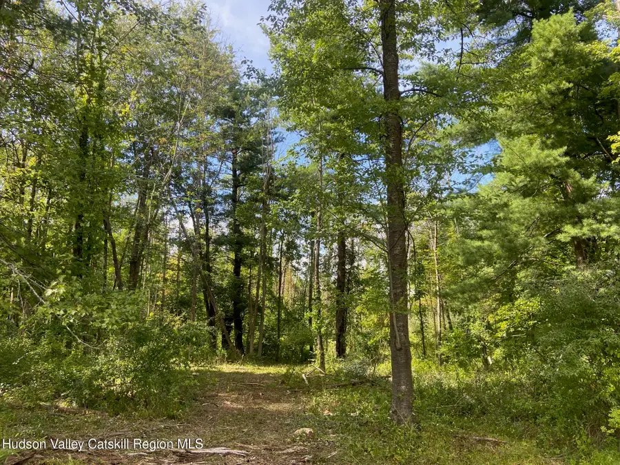 0 Thomas Road, Craryville, NY 12521 - #3