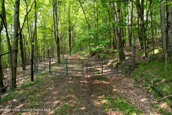 0 Paradise Camp Road, Fleischmanns, NY 12430