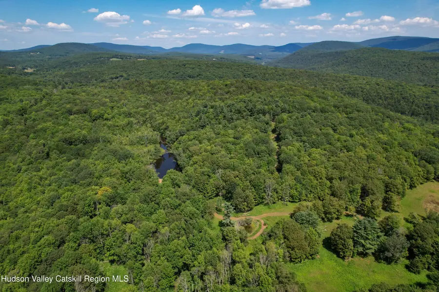 0 Paradise Camp Road, Fleischmanns, NY 12430 - #3