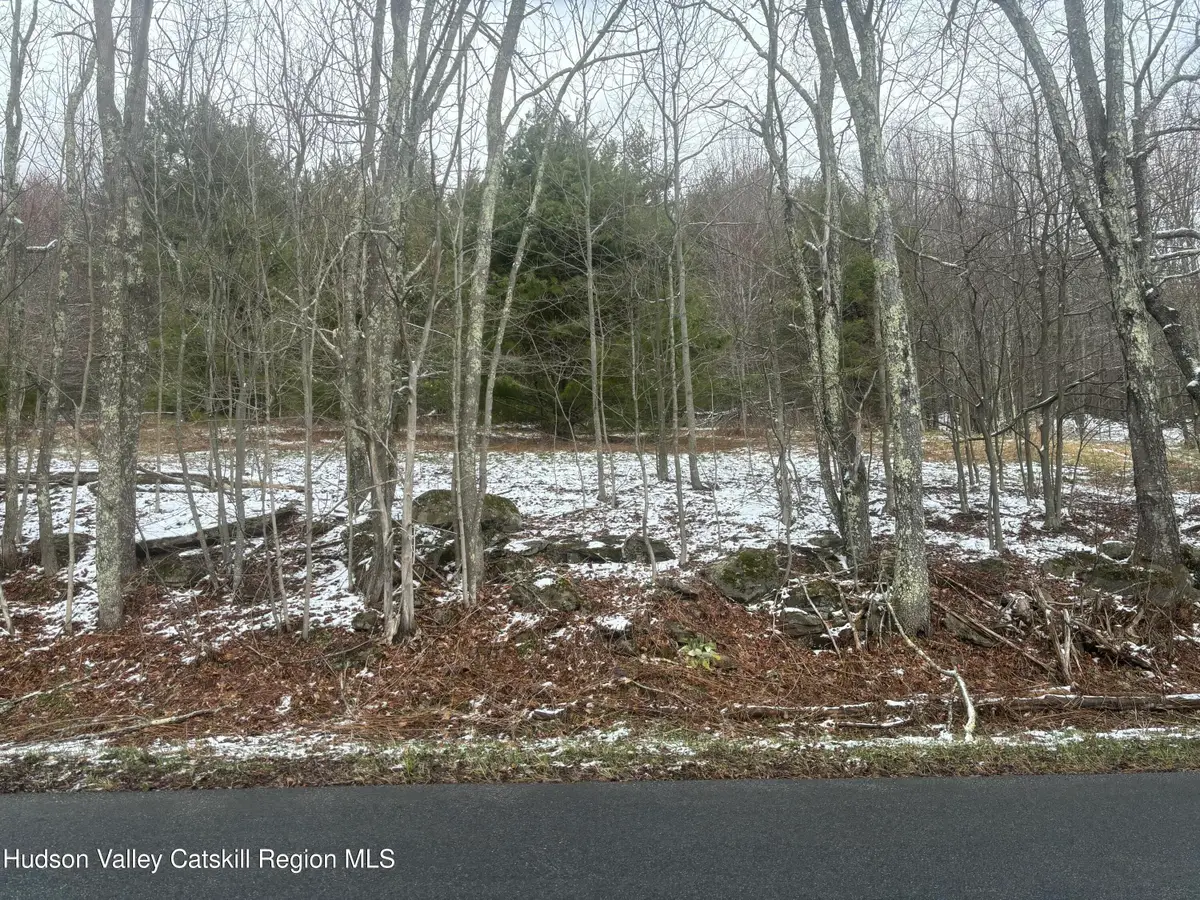 0 Peck Road, Windham, NY 12496 - #1