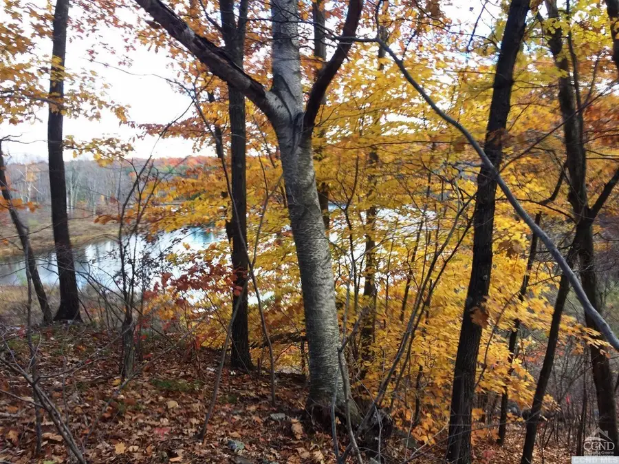 12 Stonegate Off Birch Hill Road, Copake Lake, NY 12521 - #2