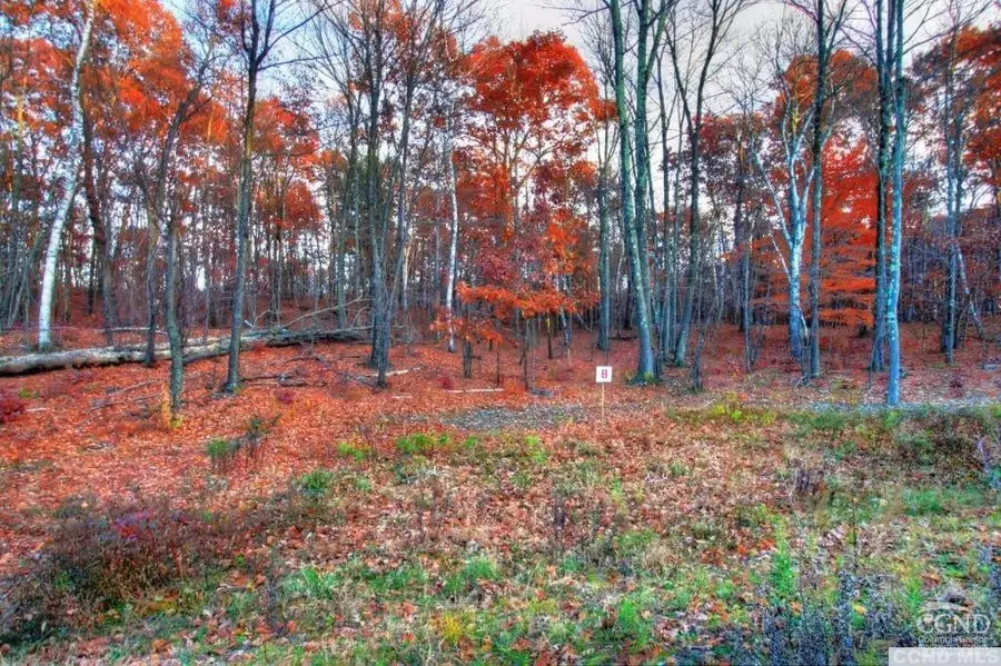 8 Stonegate Off Birch Hill Road, Copake Lake, NY 12521 - #2