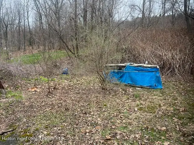 L-4 State Route 203, Chatham, NY 12037 - #3