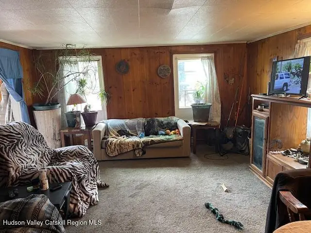 676 Route 145, Cairo, NY 12413 - #3