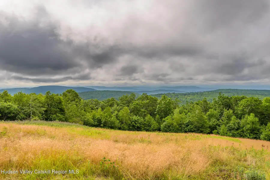 890 Bald Mountain Road, Austerlitz, NY 12017 - #2