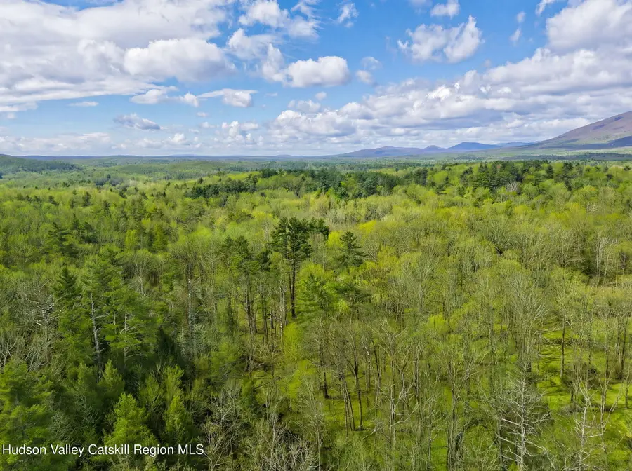 38 Browns Lane, Saugerties, NY 12477 - #2