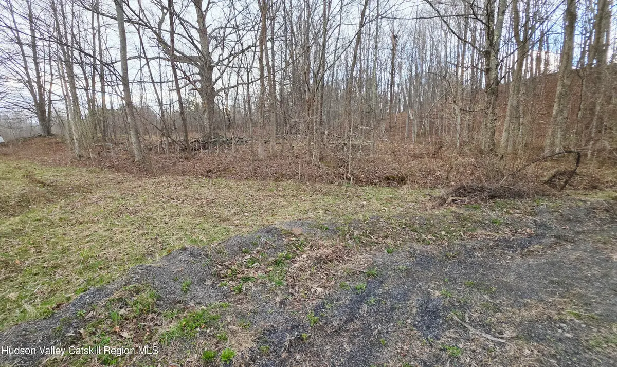 0 Flinn Road, Cornwallville, NY 12418 - #1