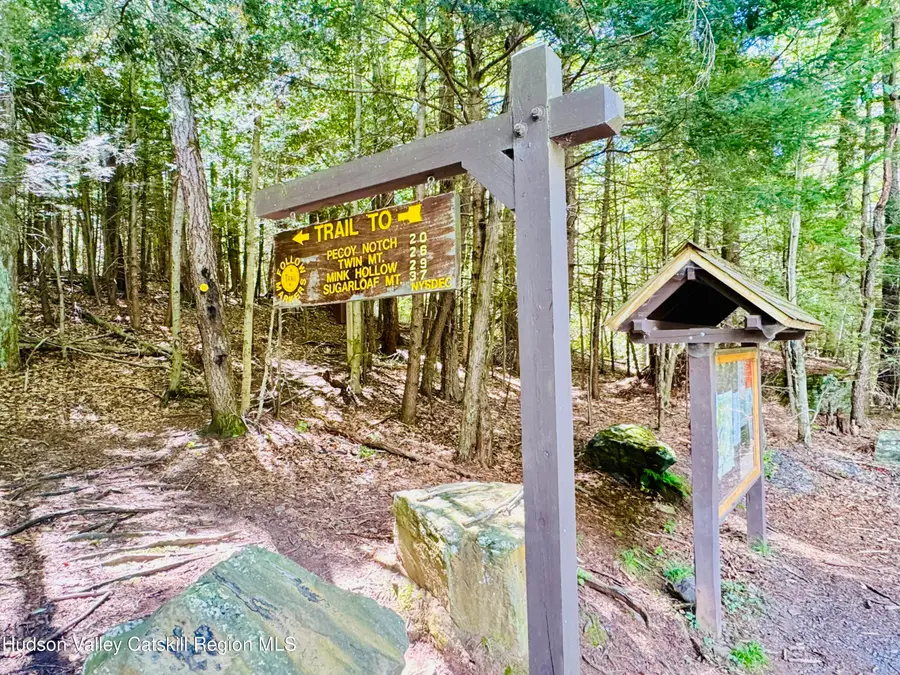 6 Corfu Road, Elka Park, NY 12427 - #2