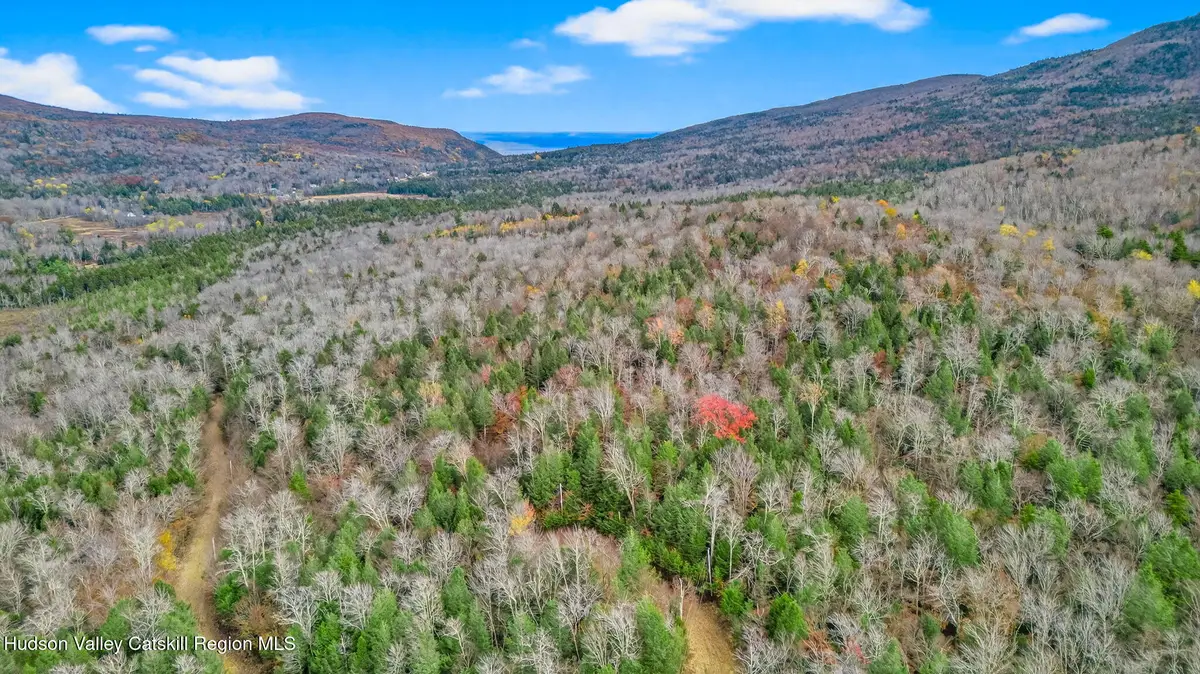 8 Corfu Road, Elka Park, NY 12427 - #1