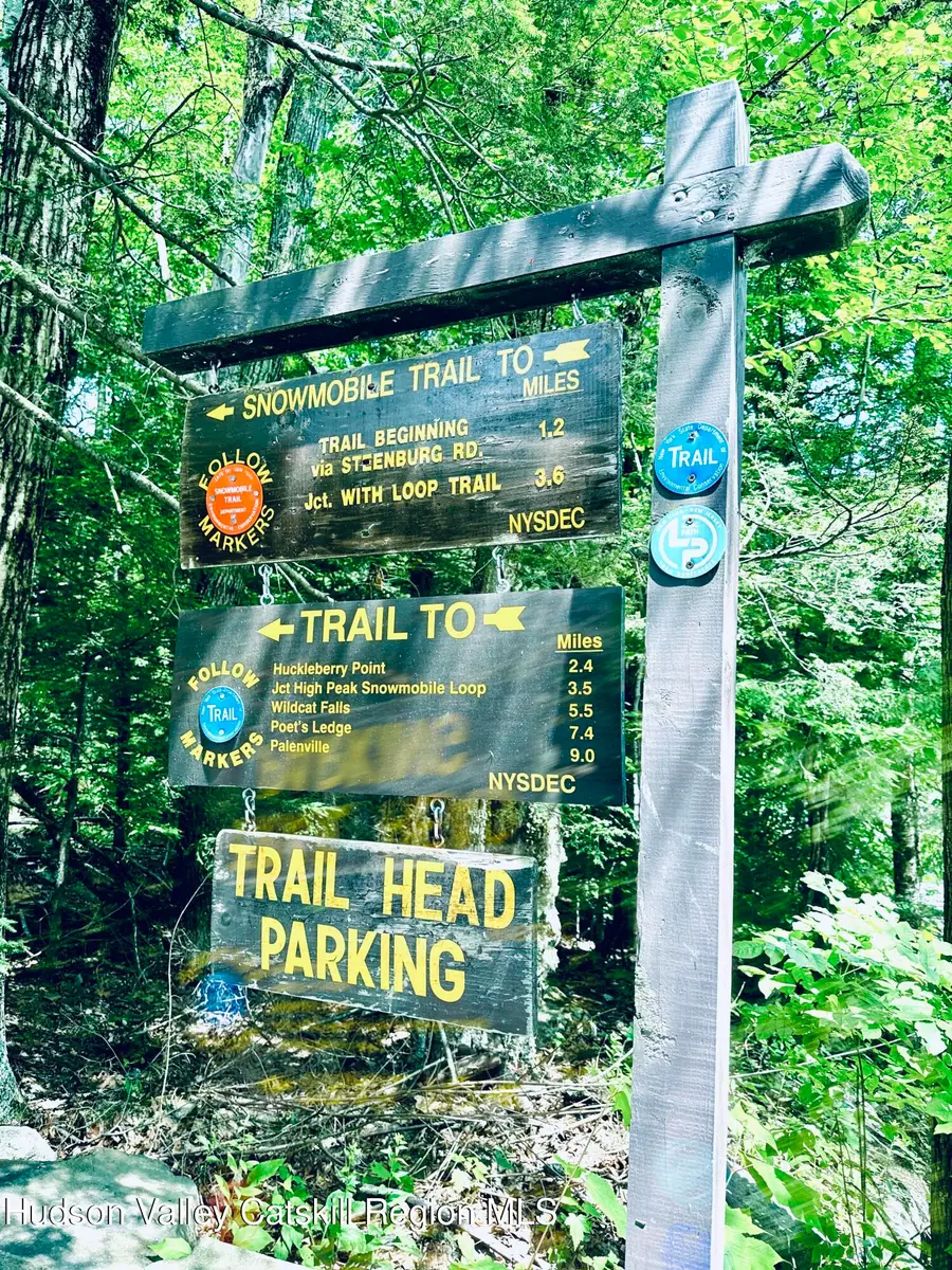 8 Corfu Road, Elka Park, NY 12427 - #3