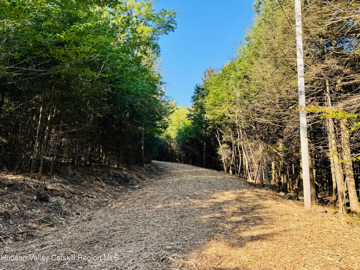 9 Corfu Road, Elka Park, NY 12427 - #1