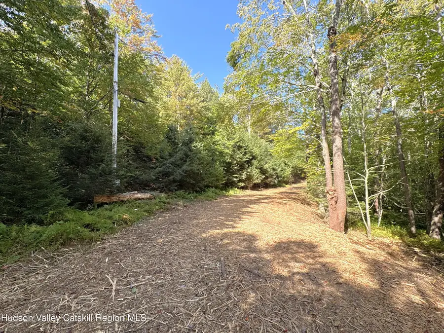 9 Corfu Road, Elka Park, NY 12427 - #2