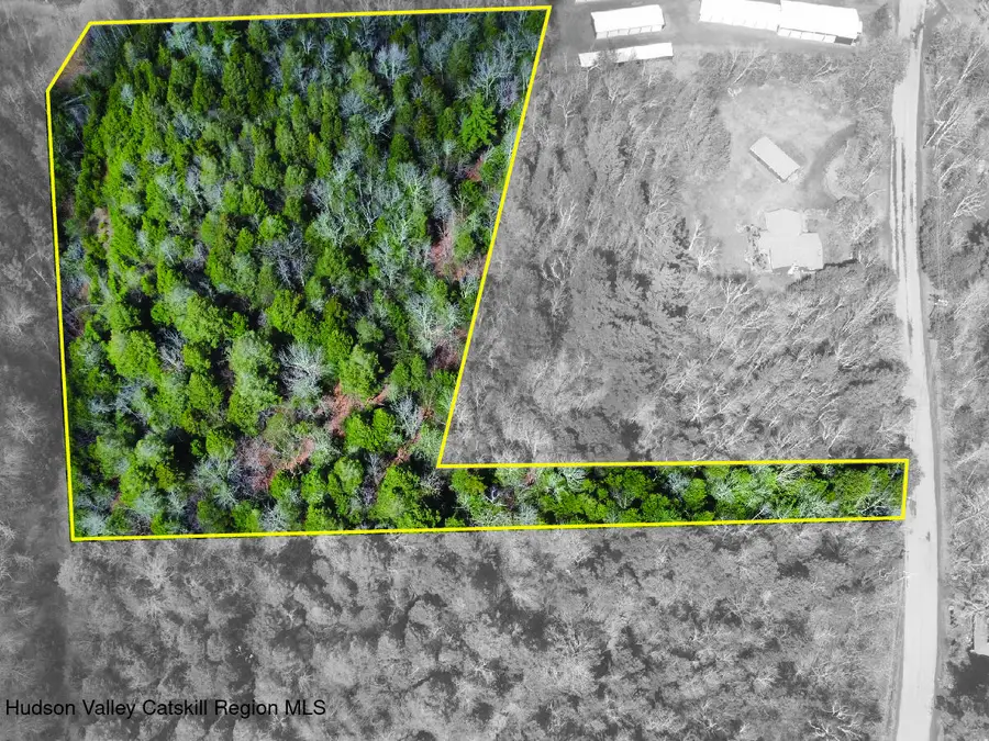 00 Clum Hill Road, Haines Falls, NY 12436 - #2