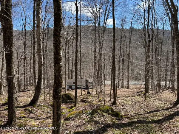 Tbd Frost Valley Road, Claryville, NY 12725