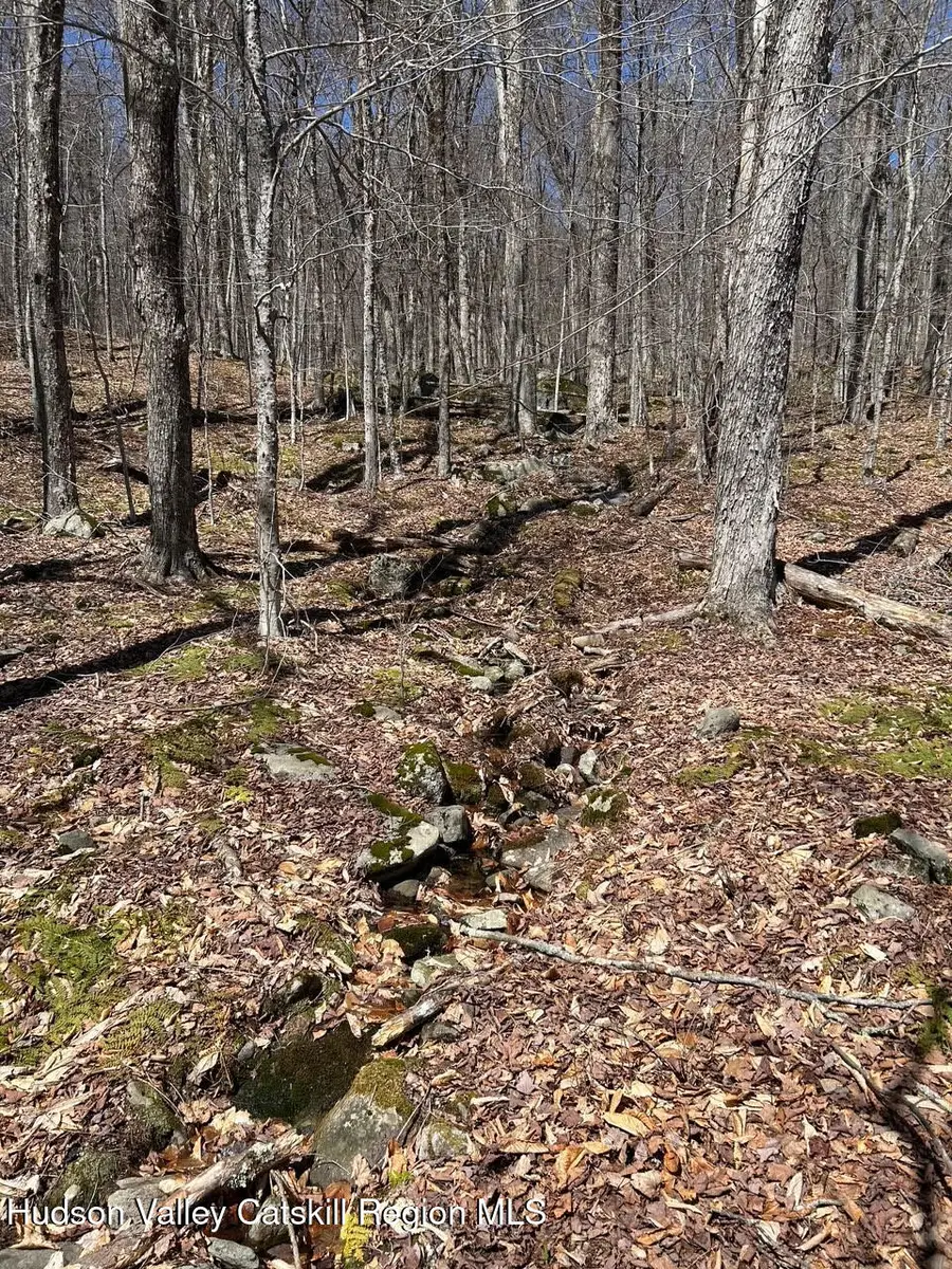 Tbd Frost Valley Road, Claryville, NY 12725 - #2