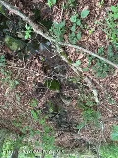 Tbd Frost Valley Road, Claryville, NY 12725 - #3