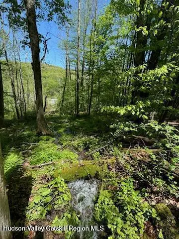 Tbd New York 28, Big Indian, NY 12410 - #3