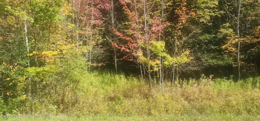 128 Brittany Hill Road, Jewett, NY 12444 - #3