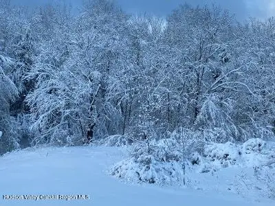 0 Cangiano Drive, Prattsville, NY 12468