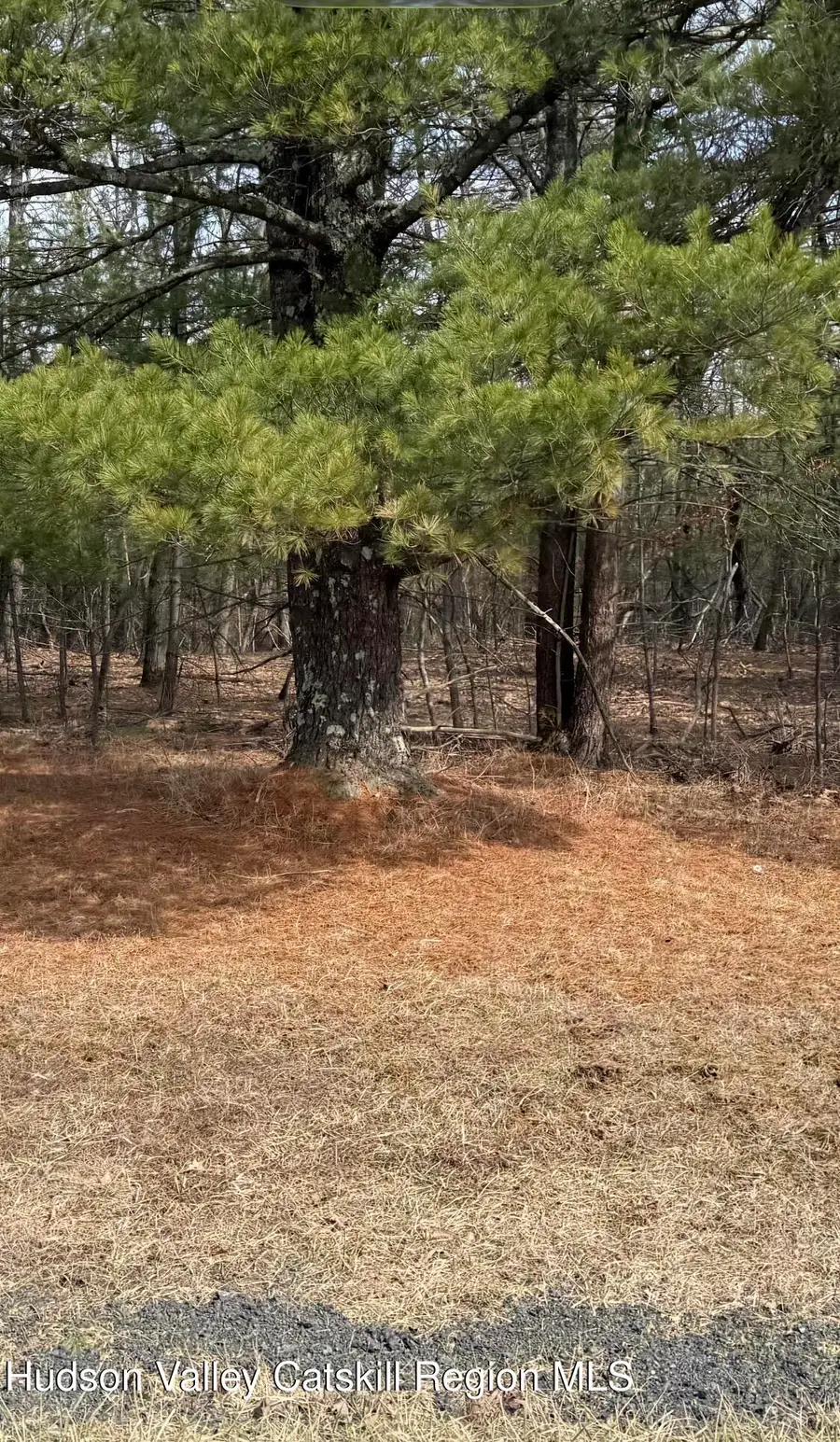 0 County Rt 312, Coeymans, NY 12045 - #2