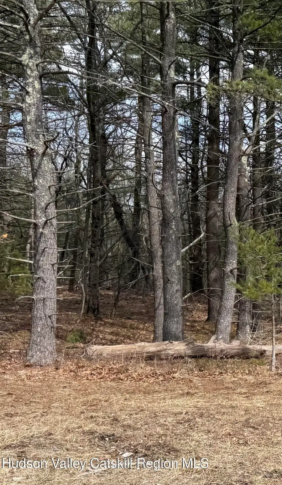 0 County Rt 312, Coeymans, NY 12045 - #3