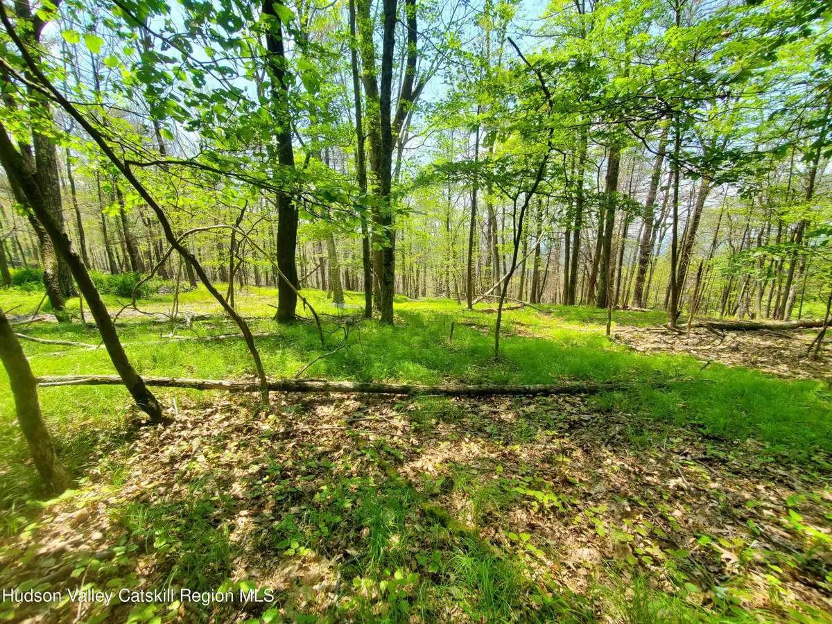 Tbd Piney Lane, Cragsmoor, NY 12420 - #1