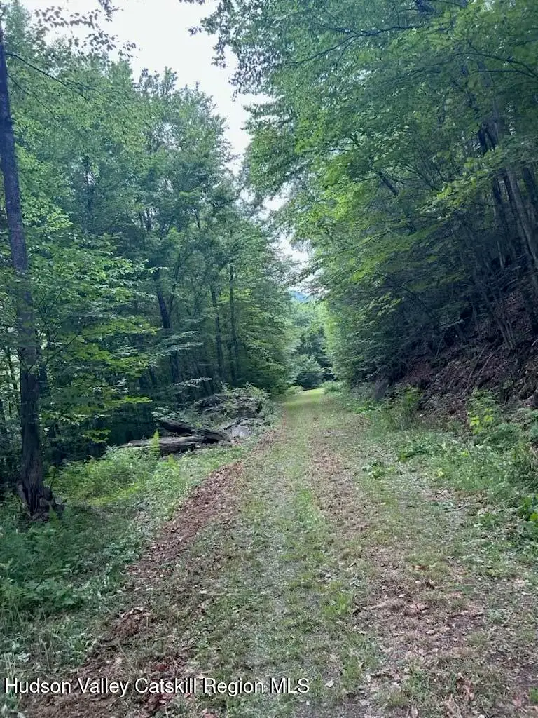 Tbd Railroad Road, Lanesville, NY 12450 - #2
