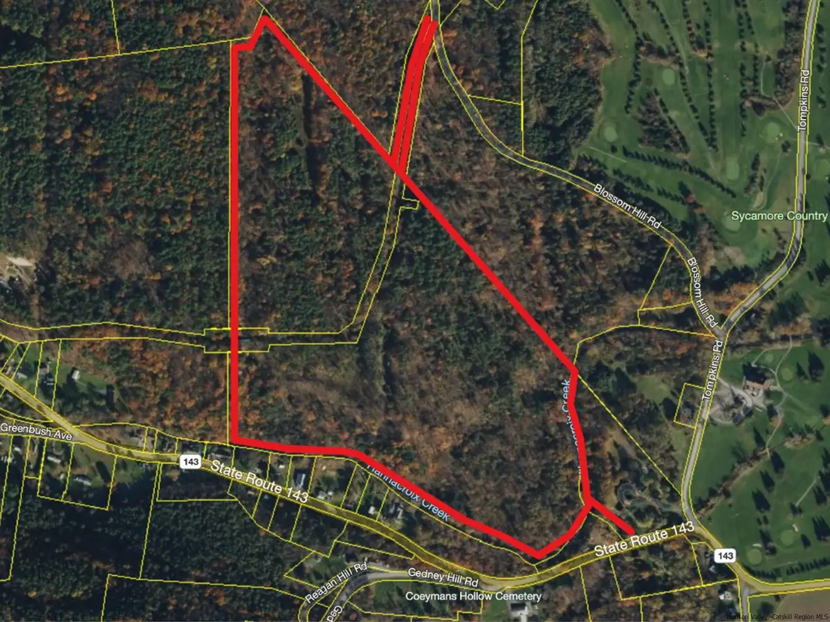 111 Blossom Hill Road, Coeymans Hollow, NY 12046 - #1