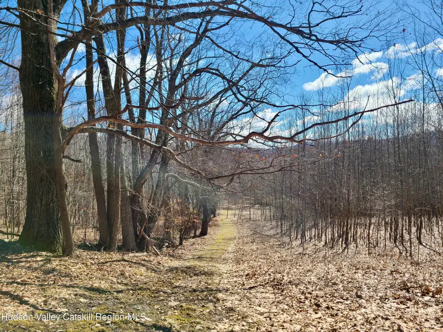 0 Crescent Hill Lane, Andes, NY 13731 - #3