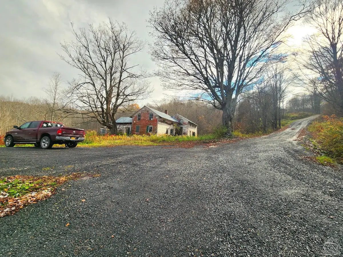 172 Mace Hill Road, Middleburgh, NY 12122 - #1
