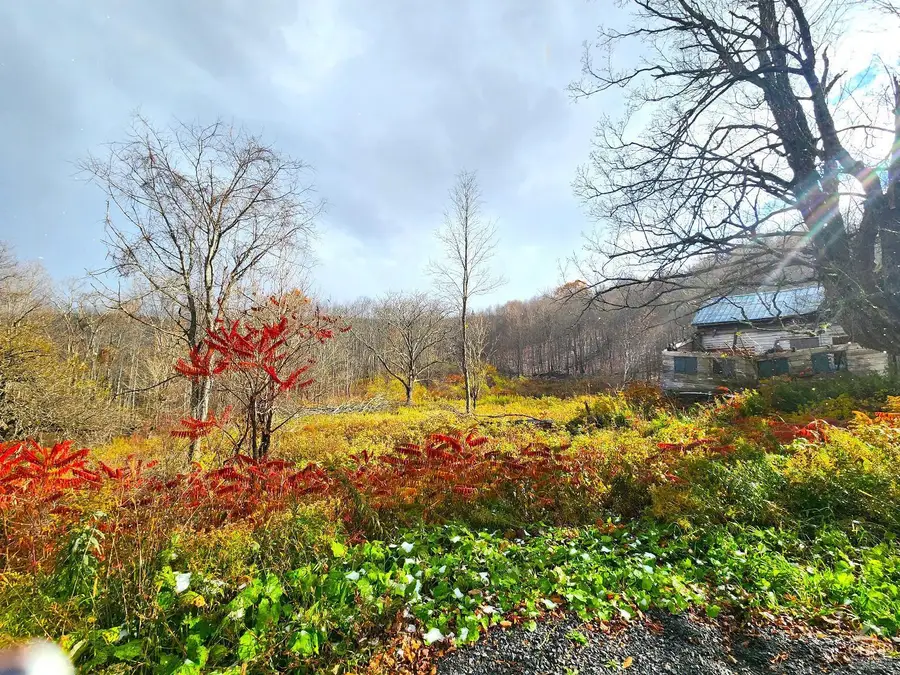 172 Mace Hill Road, Middleburgh, NY 12122 - #3