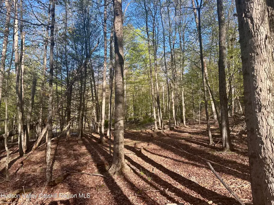 0 Lot Cross Patch Road, Willow, NY 12495 - #2