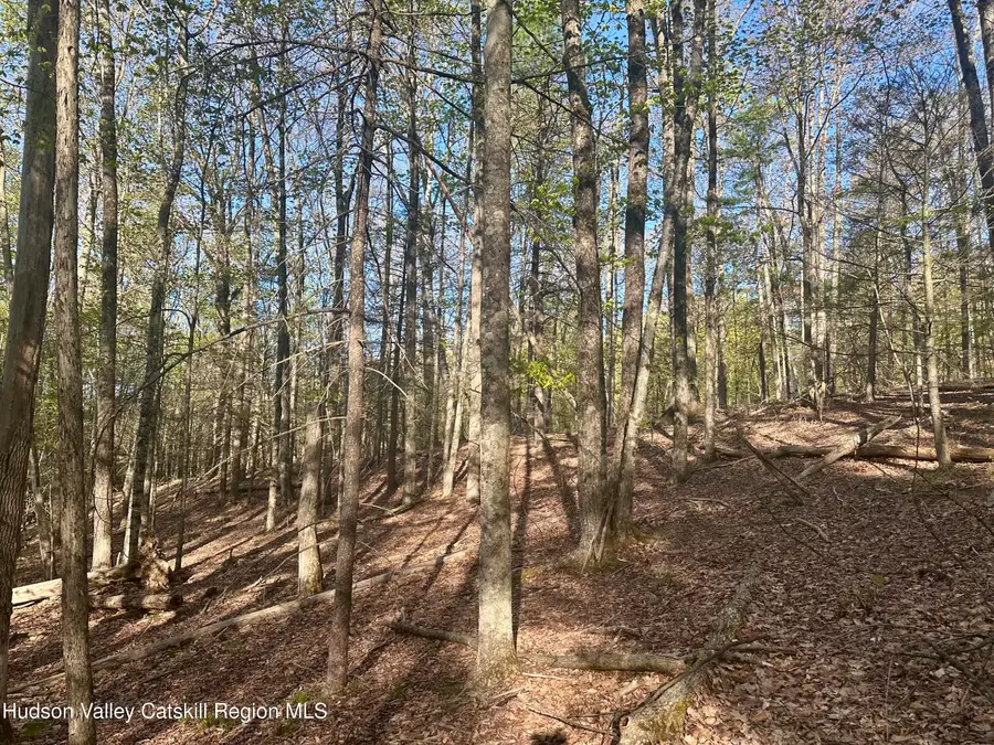 0 Lot Cross Patch Road, Willow, NY 12495 - #3