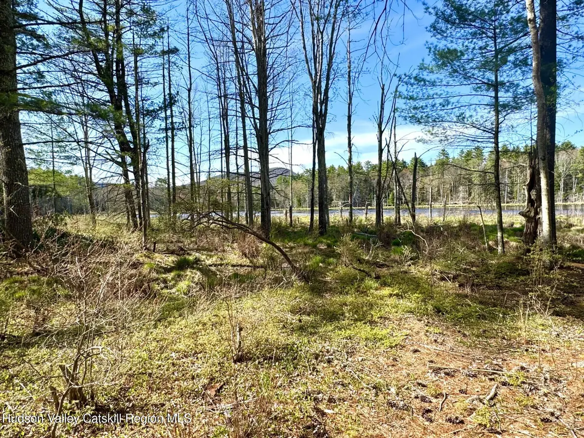 547 Glenford-wittenberg Road, Bearsville, NY 12409 - #1