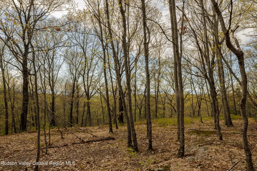 - Schultz Hill Road, Staatsburg, NY 12580 - #3