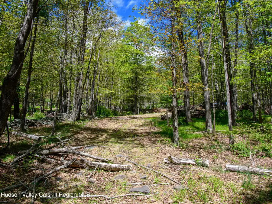 000 Upper Samsonville Road, Olivebridge, NY 12461 - #3