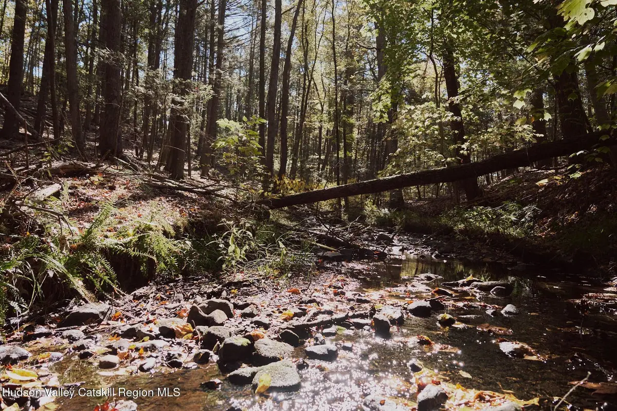 Off Potter Hill Road, Lake Katrine, NY 12401 - #1