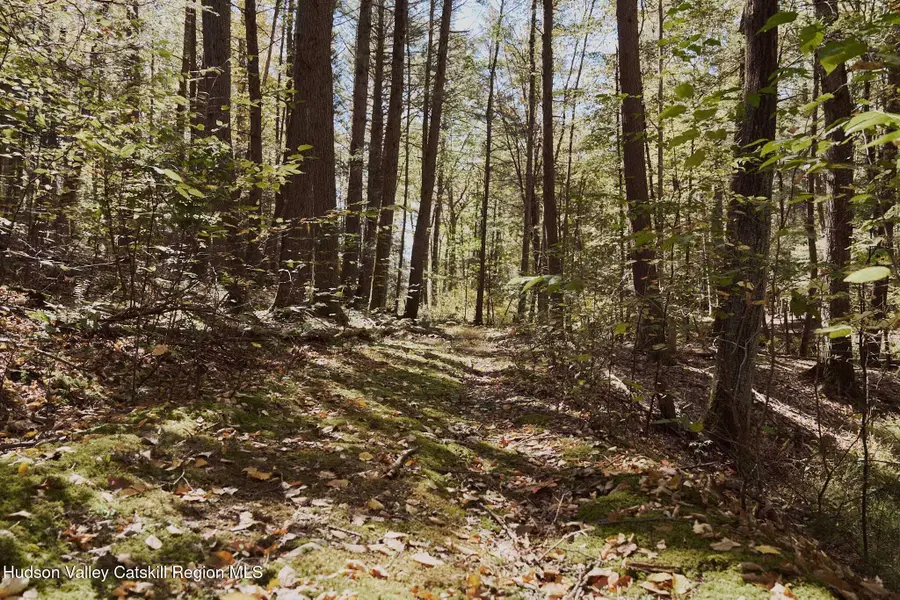 Off Potter Hill Road, Lake Katrine, NY 12401 - #2