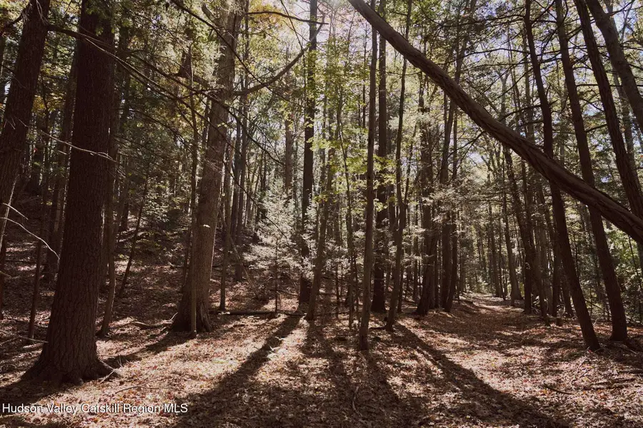 Off Potter Hill Road, Lake Katrine, NY 12401 - #3