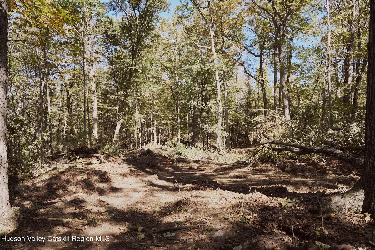 Lot 5 Flatbush Avenue, Kingston, NY 12401 - #1